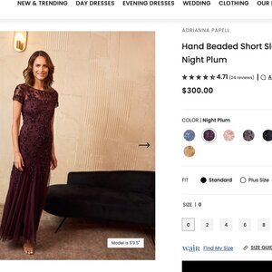 Adrianna Papell Mother of Bride gown size 6P plum